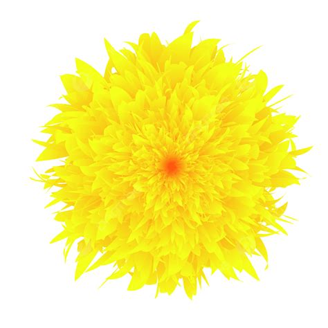 Elementos Originales De Diseño De Flores De Crisantemo Amarillo Png