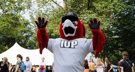 Meet Norm! - IUP