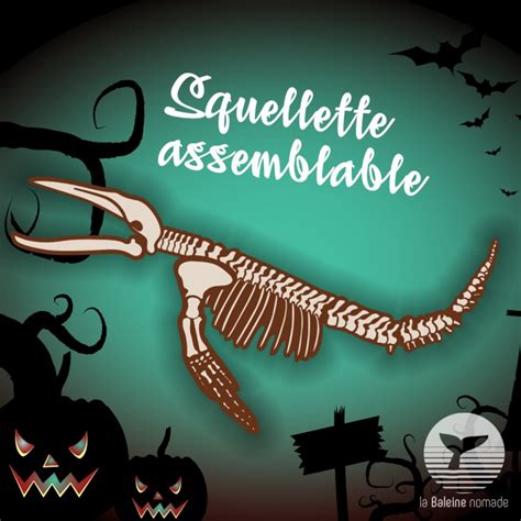 Halloween Squelette De Baleine Bosse