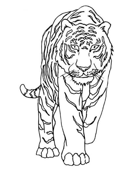 Realistic Tiger coloring page