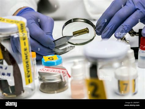 Expert Police Examines A Bullet Cap In Scientific Laboratory With