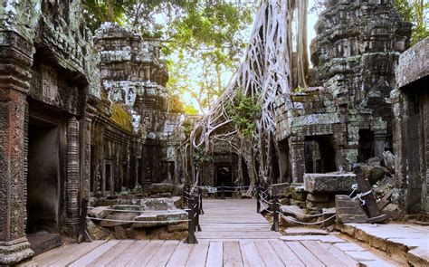 Ta Prohm Temple: Tomb Raider's Hidden Gem