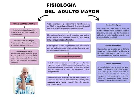 Fisiología del adulto mayor Eduar Mendoza Hernández uDocz