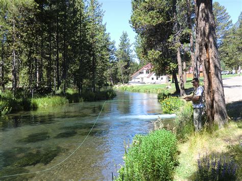 Fly Fishing Fall River Oregon Loomis Adventures Camping Hiking