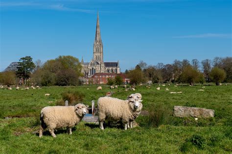 Salisbury Winter Walks Experience Salisbury