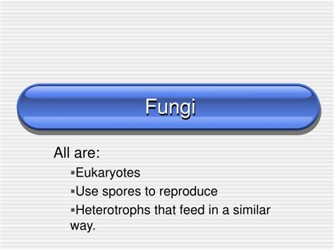 Ppt Fungi Powerpoint Presentation Free Download Id5305426