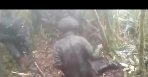 Sederet Fakta Video KKB Papua Mutilasi Anggota Brimob Hingga Viral Di