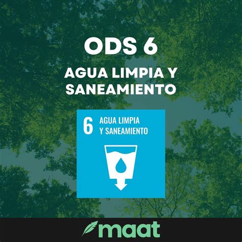 Significado Meta Y Acciones Del ODS 6 Agua Limpia Y Saneamiento