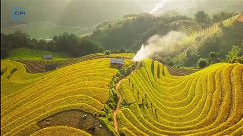 Mu Cang Chai Yen Bai Vietnam Vn