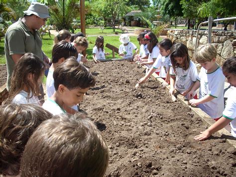 Projeto Cheirinho De Mato Oficinas No Cheirinho De Mato Plantio De