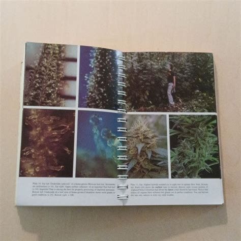 Marijuana Grower's Guide Deluxe