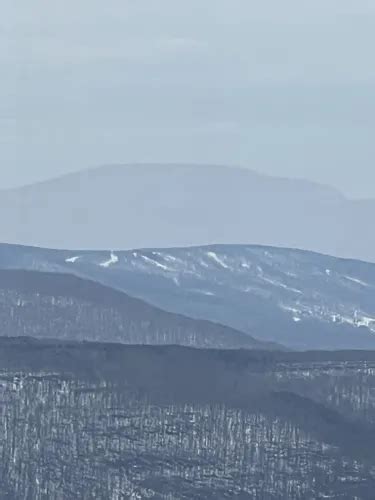 Best Long Trails In Phoenicia Mt Tobias Wild Forest Alltrails