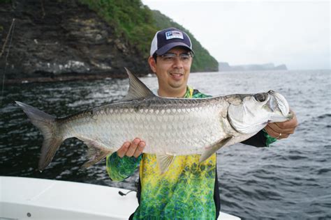 Trinidad Tarpon Madness