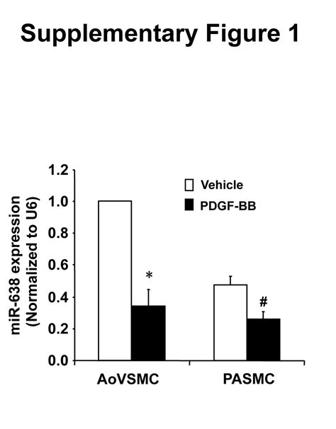 Microrna 638 Is Highly Expressed In Human Vascular Smooth Muscle Cells