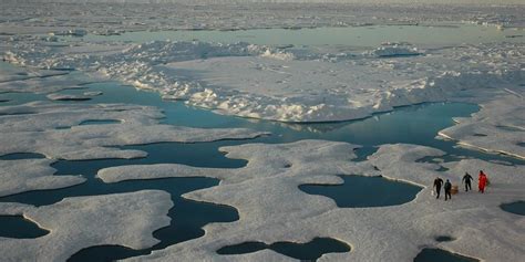arctic climate change impact  carbon cycle climate