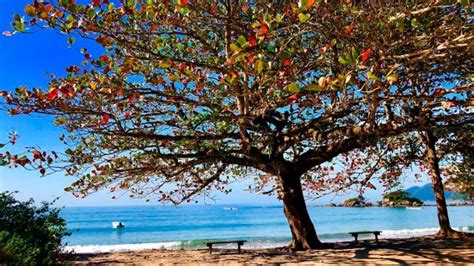 Roteiro De Fim De Semana Em Ilhabela Roteiros Ilhabela Br