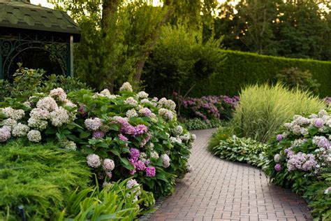 Plants for a Fairytale Garden — 6 Ideas to Choose | Livingetc