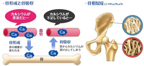 カルシウム リン マグネシウム 高橋医院