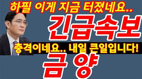 금양 7월18일 점심속보 어쩌나 결국 이럴줄 알앗다 충격 신규사업 삼성과 인수논의 무상증자 난리낫다 Feat 2170