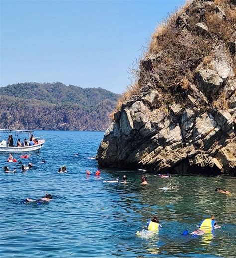 Isla Tortuga Snorkeling Tour From Montezuma And Santa Teresa