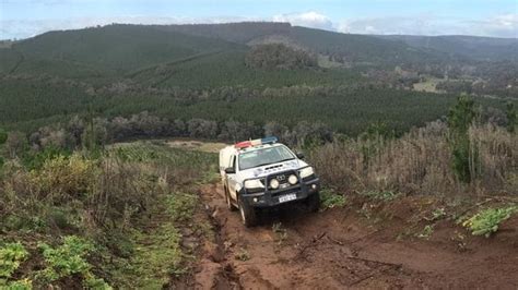 WA Police target ‘magic mushroom’ harvesting in South West town Balingup