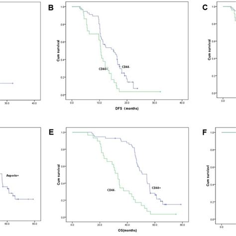 Kaplan Meier Curves Of Dfs And Os With Different Expression Of Asporin