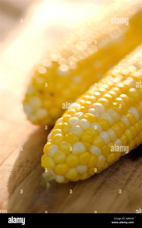 Corn on the Cob Stock Photo - Alamy