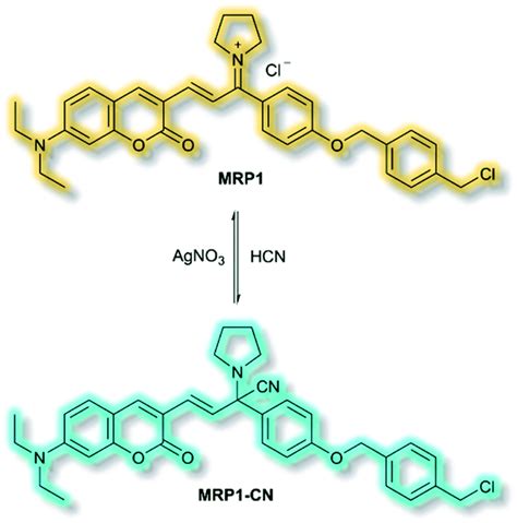 Fluorescent Small Organic Probes For Biosensing Chemical Science Rsc