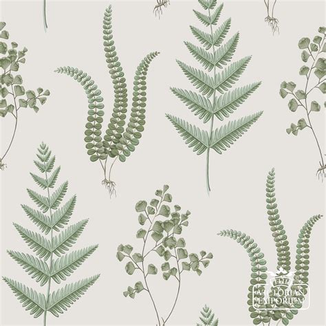 Fern Wallpaper Featuring a Variety of Green Plants in Subtle Colours