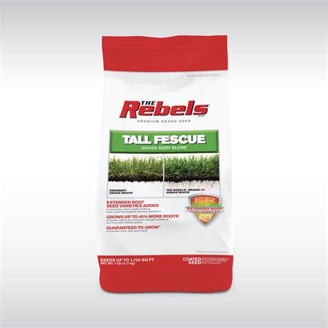 Buy The Rebels Tall Fescue Grass Seed For Sun To Medium Shade 7 Lb Covers 1750 Sq Ft Online