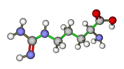 Amino Acid Arginine Molecule Stock Illustration - Illustration of ...