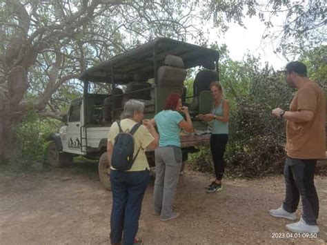 Safari D Une Journ E Dans Le Parc National De Yala Getyourguide