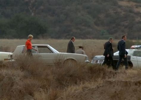 The Cascade | Daily Deviations, an Exercise in Found Landscape, Media ...