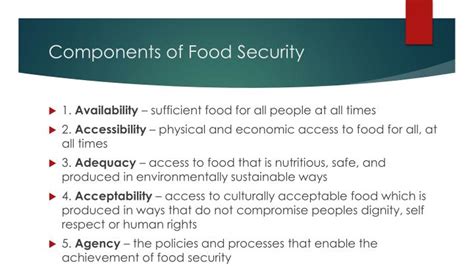 Ppt The Right To Food Hunger And Food Security Powerpoint