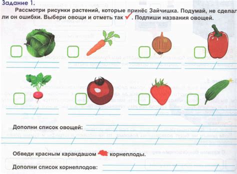 Конспект занятия по функциональной грамотности "Зайчишка и овощи" 2 класс