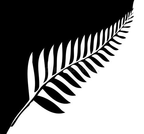 Silver Fern Of New Zealand Stock Vector Illustration Of Isolated