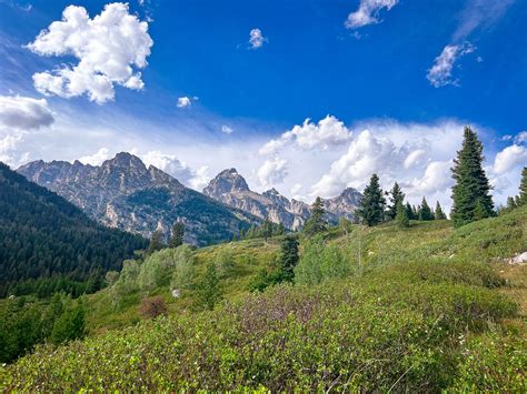 The 7 Best Things to Do in Jackson Hole, Wyoming During Summer - Let's