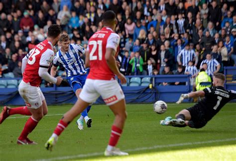 Match Pack Owls V Millwall News Sheffield Wednesday