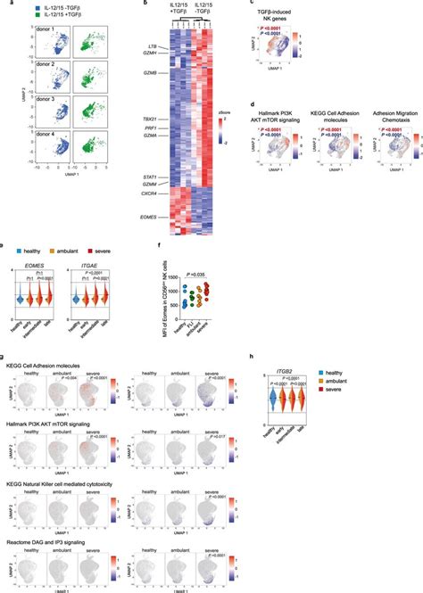 Genes related to cell adhesion are suppressed in NK cells during severe ... 