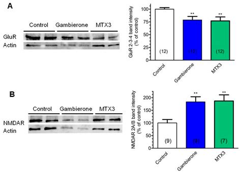 Toxins Free Full Text Structure Elucidation And Biological