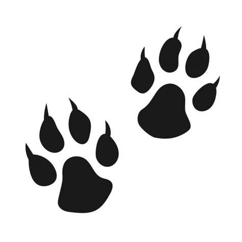 Bear Paw Print Illustrations, Royalty-Free Vector Graphics & Clip Art ...