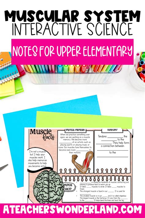 Muscular System Science Notes Test Prep Printables 4th And 5th Grade Science Notes