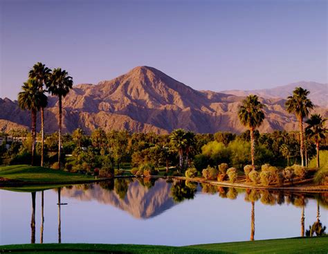 Palm Springs Hotels | Hotels in Palm Springs CA | Palm Mountain Resort