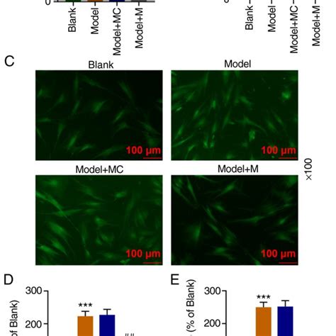 High Expression Of Mir 122 5p Reduces The Levels Of Ros And Mda And