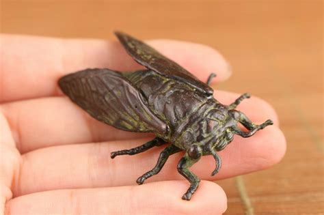 Antique Appraisals Online Chinese Bronze Handmade Cicada Statue