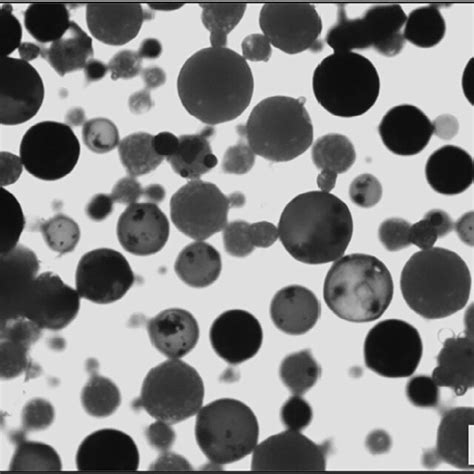 Optical Microscopy Pictures Of Ethyl Cellulose Microparticle Blends