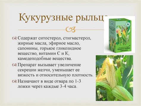 Отвар кукурузных рылец: полезные свойства, рецепты приготовления