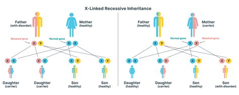 Haemophilia And Von Willebrand Disease Ausmed