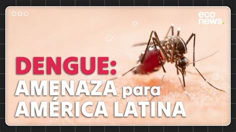 Todo lo que debés saber sobre el Dengue YouTube