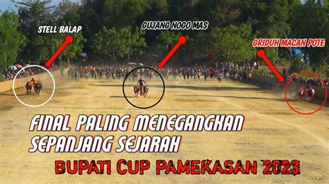 Final Kerapan Sapi Piala Bupati Cup Pamekasan 2023 YouTube